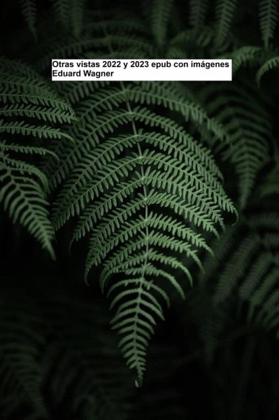 Otras vistas 2022 y 2023 epub con imágenes (eBook, ePUB)