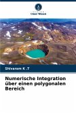 Numerische Integration über einen polygonalen Bereich