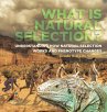 What is Natural Selection?... - Bild 1