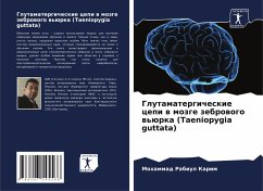 Glutamatergicheskie cepi w mozge zebrowogo w'ürka (Taeniopygia guttata) - Karim, Mohammad Rabiul