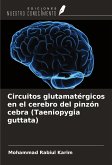 Circuitos glutamatérgicos en el cerebro del pinzón cebra (Taeniopygia guttata)