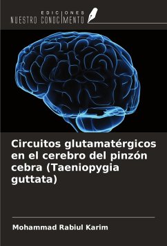 Circuitos glutamatérgicos en el cerebro del pinzón cebra (Taeniopygia guttata) - Karim, Mohammad Rabiul