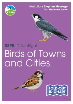 RSPB ID Spotlight - Birds of Towns and Cities - Taylor, Marianne