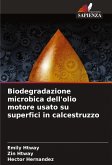 Biodegradazione microbica dell'olio motore usato su superfici in calcestruzzo