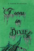 'T was in Dixie (eBook, ePUB)