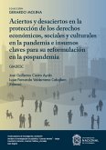 Aciertos y desaciertos en la protección de los derechos económicos sociales y culturales en la pandemia e insumos claves para su reformulación en la pospandemia (eBook, ePUB)