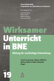 Wirksamer Unterricht in BNE (eBook, PDF)