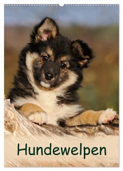Hundewelpen (Wandkalender 2025 DIN A2 hoch), CALVENDO Monatskalender - Calvendo;Menden, Katho