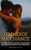 J'emmerde ma Chance (eBook, ePUB)