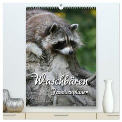 Waschbären Familienplaner (hochwertiger Premium Wandkalender 2025 DIN A2 hoch), Kunstdruck in Hochglanz - Calvendo;Berg, Martina