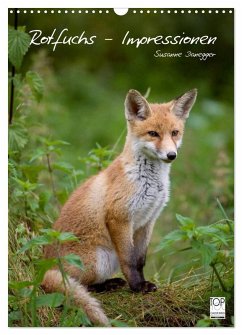 Rotfuchs - Impressionen (Wandkalender 2025 DIN A3 hoch), CALVENDO Monatskalender - Calvendo;Danegger, Susanne