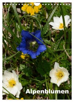 Alpenblumen (Wandkalender 2025 DIN A4 hoch), CALVENDO Monatskalender - Calvendo;Haas, Willi