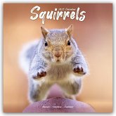Squirrels - Eichhörnchen - Grauhörnchen 2025 - 16-Monatskalender