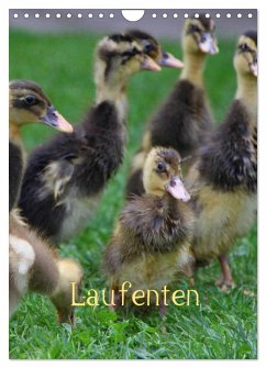 Laufenten (Wandkalender 2025 DIN A4 hoch), CALVENDO Monatskalender