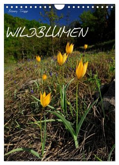 WILDBLUMEN (Wandkalender 2025 DIN A4 hoch), CALVENDO Monatskalender