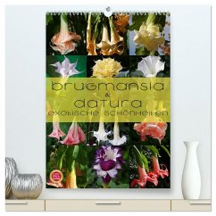 Brugmansia & Datura - Exotische Schönheiten (hochwertiger Premium Wandkalender 2025 DIN A2 hoch), Kunstdruck in Hochglanz - Calvendo;Cross, Martina