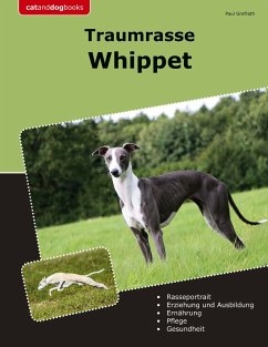 Traumrasse Whippet - Grefrath, Paul