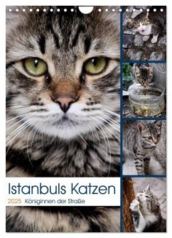 Istanbuls Katzen (Wandkalender 2025 DIN A4 hoch), CALVENDO Monatskalender