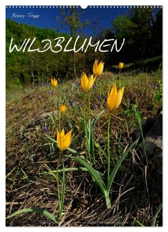 WILDBLUMEN (Wandkalender 2025 DIN A2 hoch), CALVENDO Monatskalender