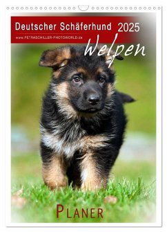 Deutscher Schäferhund - Welpen, Planer (Wandkalender 2025 DIN A3 hoch), CALVENDO Monatskalender - Calvendo;Schiller, Petra