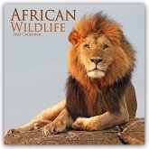 African Wildlife - Afrikanische Tierwelt 2025 - 16-Monatskalender