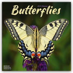 Butterflies - Schmetterlinge 2025 - 16-Monatskalender - Avonside Publishing Ltd