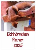 Eichhörnchen Planer 2025 (Wandkalender 2025 DIN A2 hoch), CALVENDO Monatskalender