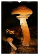 Pilze (Wandkalender 2025 DIN A3 hoch),... - Bild 1