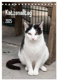 Katzenalltag 2025 (Tischkalender 2025 DIN A5 hoch), CALVENDO Monatskalender