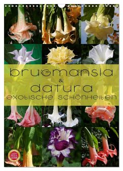 Brugmansia & Datura - Exotische Schönheiten (Wandkalender 2025 DIN A3 hoch), CALVENDO Monatskalender