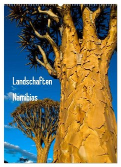 Landschaften Namibias (Wandkalender 2025 DIN A2 hoch), CALVENDO Monatskalender