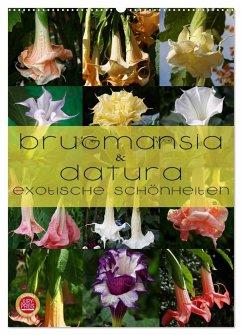 Brugmansia & Datura - Exotische Schönheiten (Wandkalender 2025 DIN A2 hoch), CALVENDO Monatskalender - Calvendo;Cross, Martina