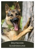 Deutscher Schäferhund (Wandkalender 2025 DIN A2 hoch), CALVENDO Monatskalender
