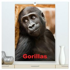 Gorillas (hochwertiger Premium Wandkalender 2025 DIN A2 hoch), Kunstdruck in Hochglanz - Calvendo;Stanzer, Elisabeth