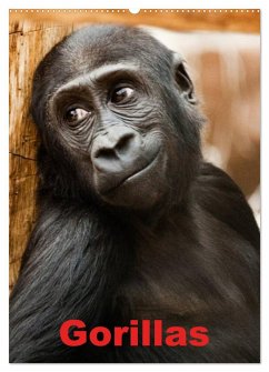 Gorillas (Wandkalender 2025 DIN A2 hoch), CALVENDO Monatskalender
