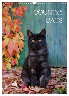 COUNTRY CATS (Wandkalender 2025 DIN A3 hoch), CALVENDO Monatskalender - Calvendo;Menden, Katho