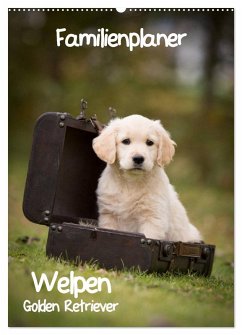 Familienplaner: Golden Retriever Welpen (Wandkalender 2025 DIN A2 hoch), CALVENDO Monatskalender - Calvendo;Auerbach, Anna