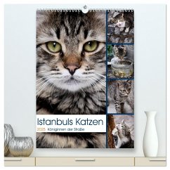 Istanbuls Katzen (hochwertiger Premium Wandkalender 2025 DIN A2 hoch), Kunstdruck in Hochglanz