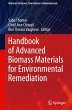 Handbook of Advanced Biomass Materials... - Bild 1
