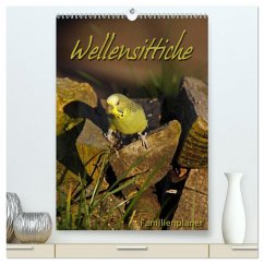 Wellensittiche (hochwertiger Premium Wandkalender 2025 DIN A2 hoch), Kunstdruck in Hochglanz