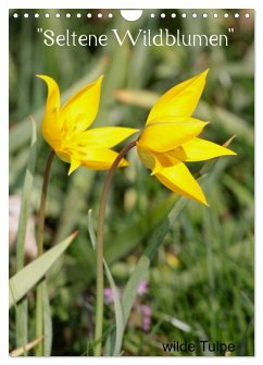 Seltene Wildblumen (Wandkalender 2025 DIN A4 hoch), CALVENDO Monatskalender - Calvendo;Erlwein, Winfried