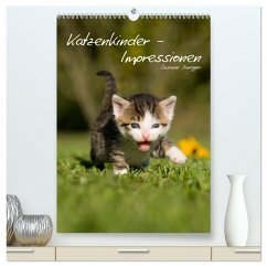 Katzenkinder - Impressionen (hochwertiger Premium Wandkalender 2025 DIN A2 hoch), Kunstdruck in Hochglanz - Calvendo;Danegger, Susanne