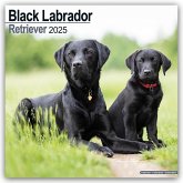 Black Labrador Retriever - Schwarzer Labrador 2025 - 16-Monatskalender