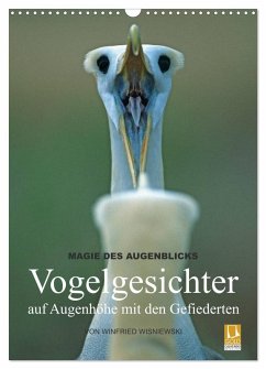 Magie des Augenblicks - Vogelgesichter - auf Augenhöhe mit den Gefiederten (Wandkalender 2025 DIN A3 hoch), CALVENDO Monatskalender