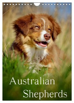 Australian Shepherds (Wandkalender 2025 DIN A4 hoch), CALVENDO Monatskalender - Calvendo;Noack, Nicole