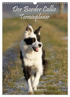 Der Border Collie Terminplaner (Wandkalender 2025 DIN A3 hoch), CALVENDO Monatskalender