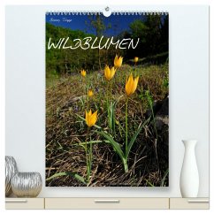 WILDBLUMEN (hochwertiger Premium Wandkalender 2025 DIN A2 hoch), Kunstdruck in Hochglanz - Calvendo;Trapp, Benny