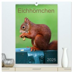 Eichhörnchen (hochwertiger Premium Wandkalender 2025 DIN A2 hoch), Kunstdruck in Hochglanz