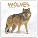 Wolves - Wölfe 2025 - 16-Monatskalender