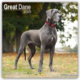 Great Dane - Dänische Dogge 2025 - 16-Monatskalender
